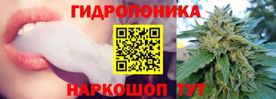 ПСИЛОЦИБИНОВЫЕ ГРИБЫ Свободный