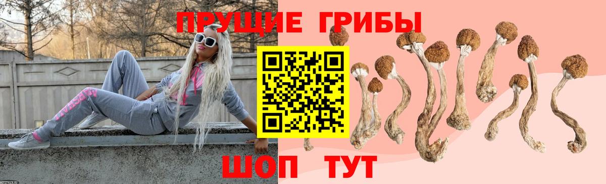 Галлюциногенные грибы мухоморы  Галлюциногенные грибы MAGIC MUSHROOMS  Нижний Тагил  Вход с VPN 